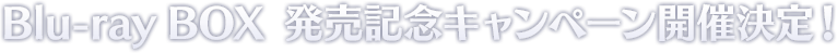 BDBOX発売記念キャンペーン開催決定！